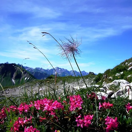 Apartamento Alpenflair Whg 403 Oberstdorf