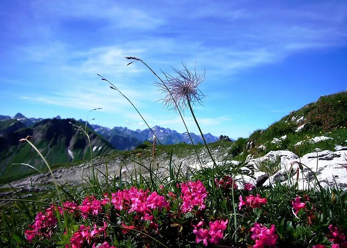 아파트 Alpenflair Whg 403 오버스트도르프